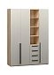 Шкаф распашной Хейсон-20 Кашемир Блэквуд Ячменный