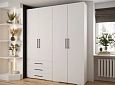 Шкаф распашной Лавис-4 Белый