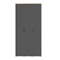 Шкаф распашной Квели 3.1 Графит