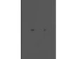 Шкаф распашной Квели 3.1 Графит