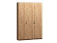 Шкаф распашной Монтана-3 Дуб Крафт Золотой