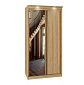 Шкаф-купе Галакси-2